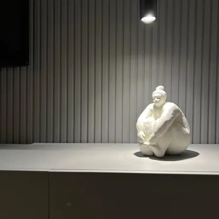 Lujoso Boutique A Estrenar Con Parking Gratis Gijón